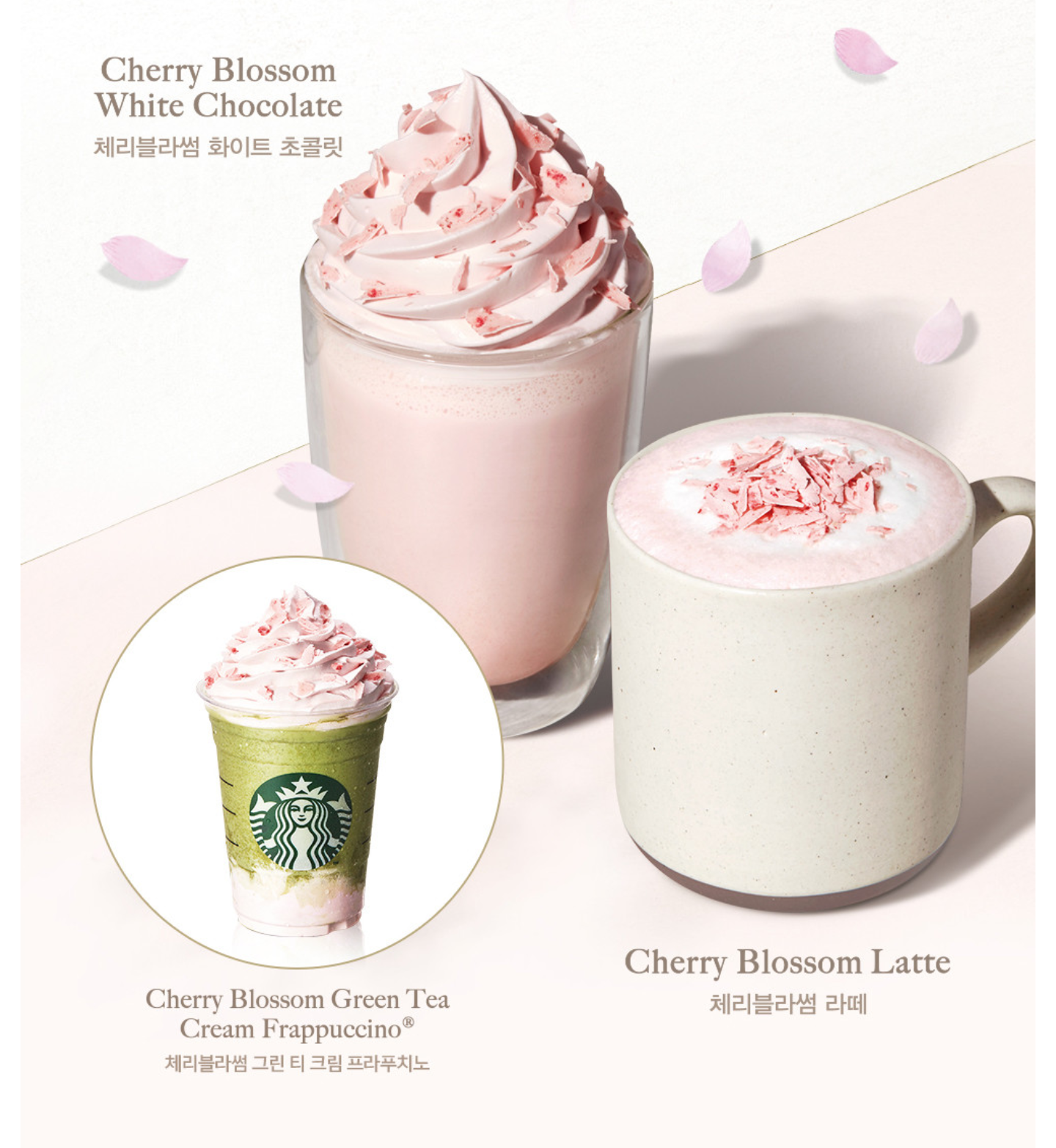 3a80b62a77b02f72f4475ab1bbc57d33