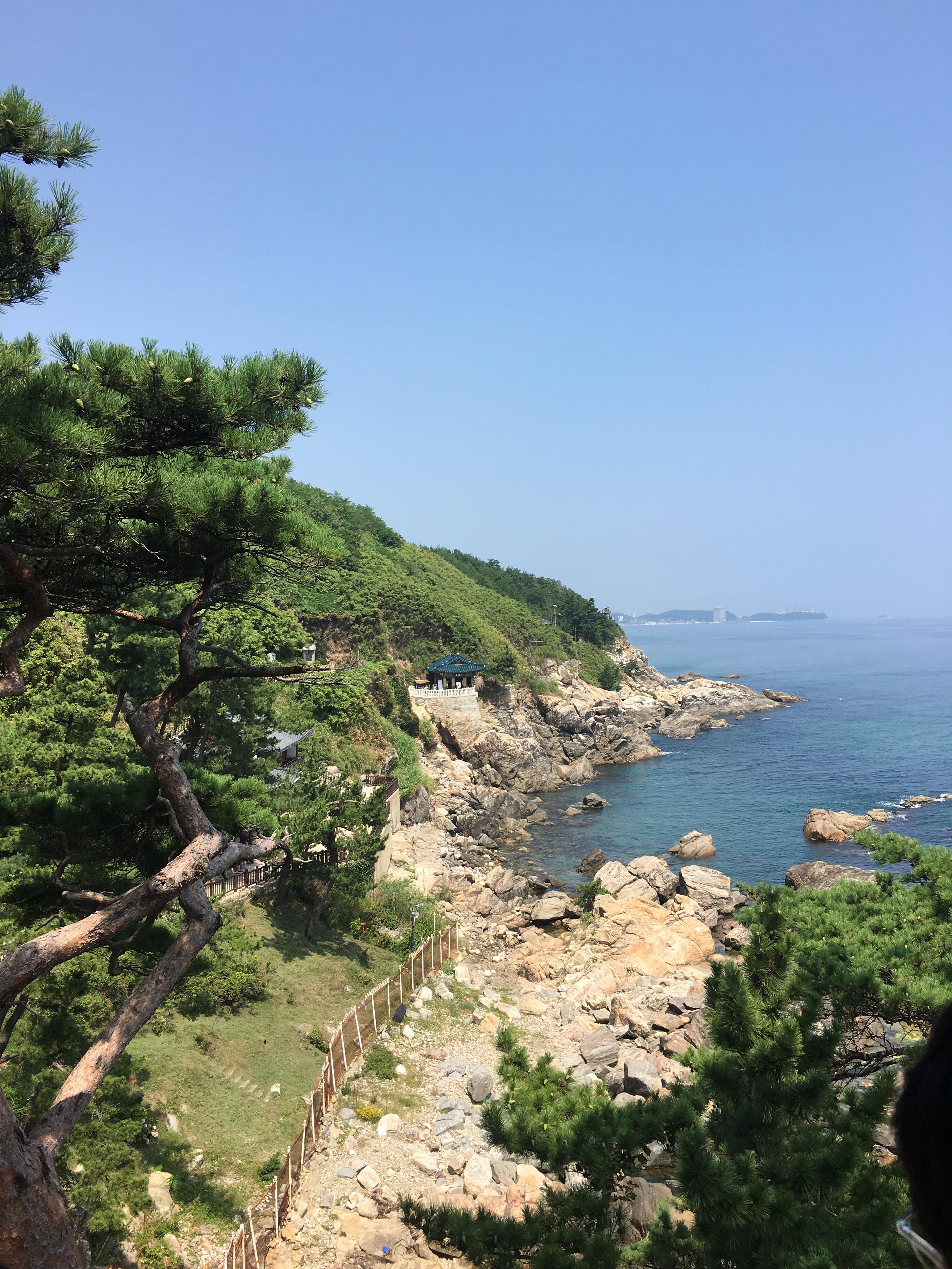 39210726_1140364219464031_3201819542741319680_n