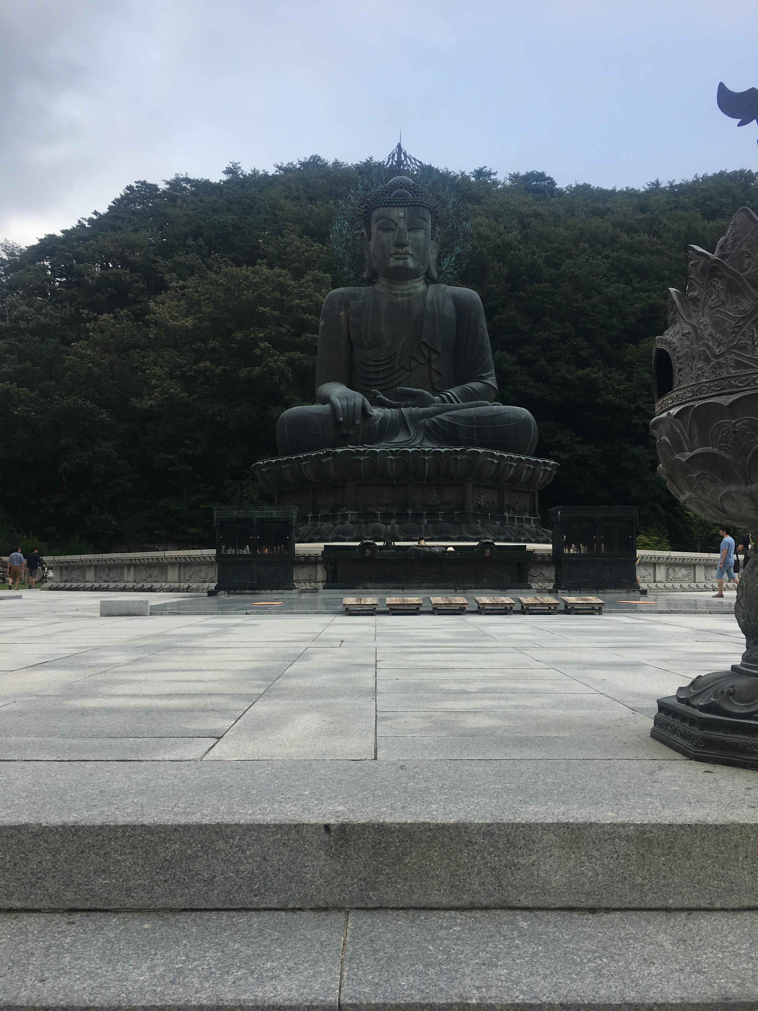 39221262_272373623593606_2383231185946935296_n