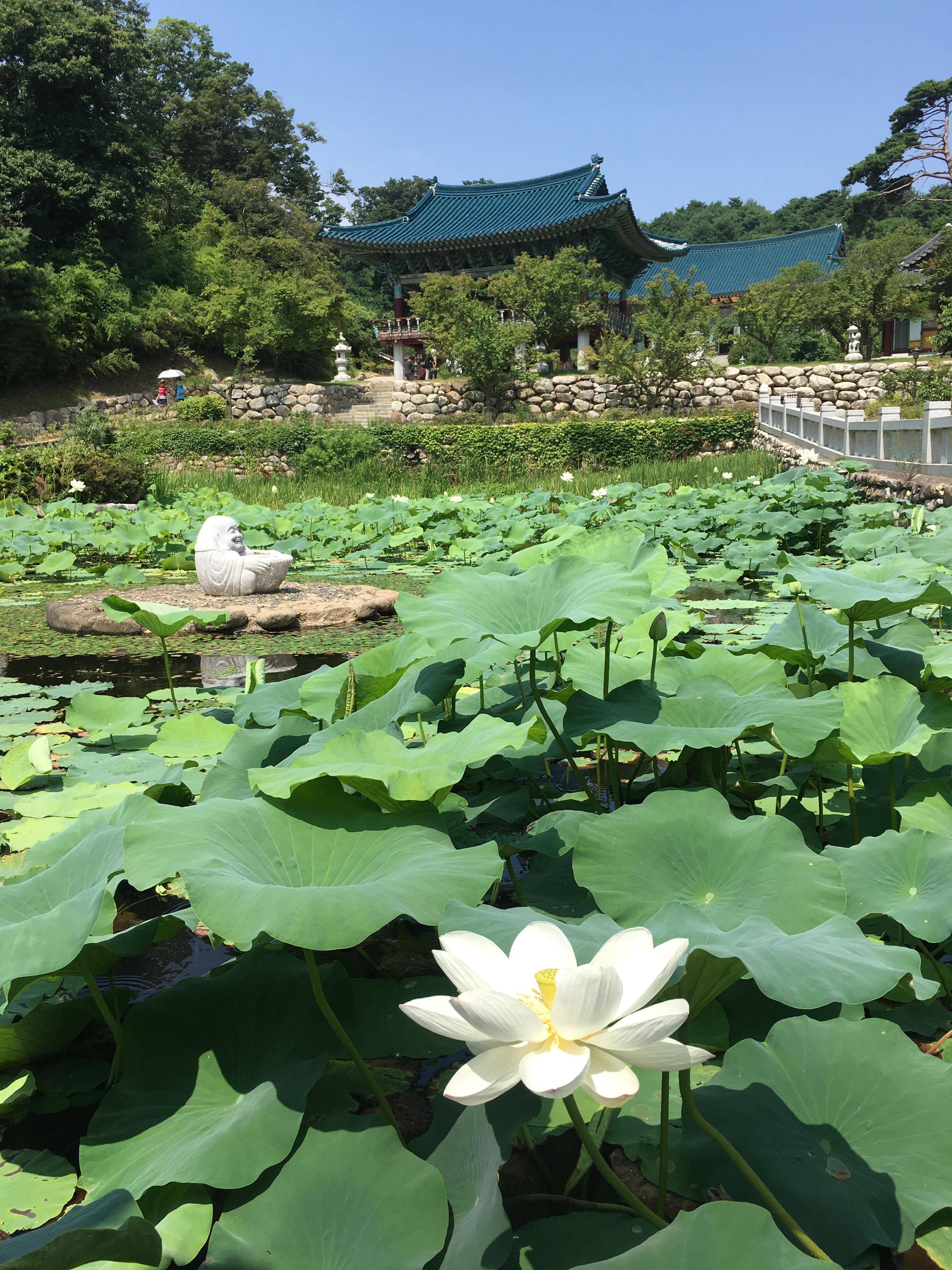 39252912_1065555823619750_5545991634673467392_n copie